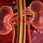 Detoxifierea rinichilor